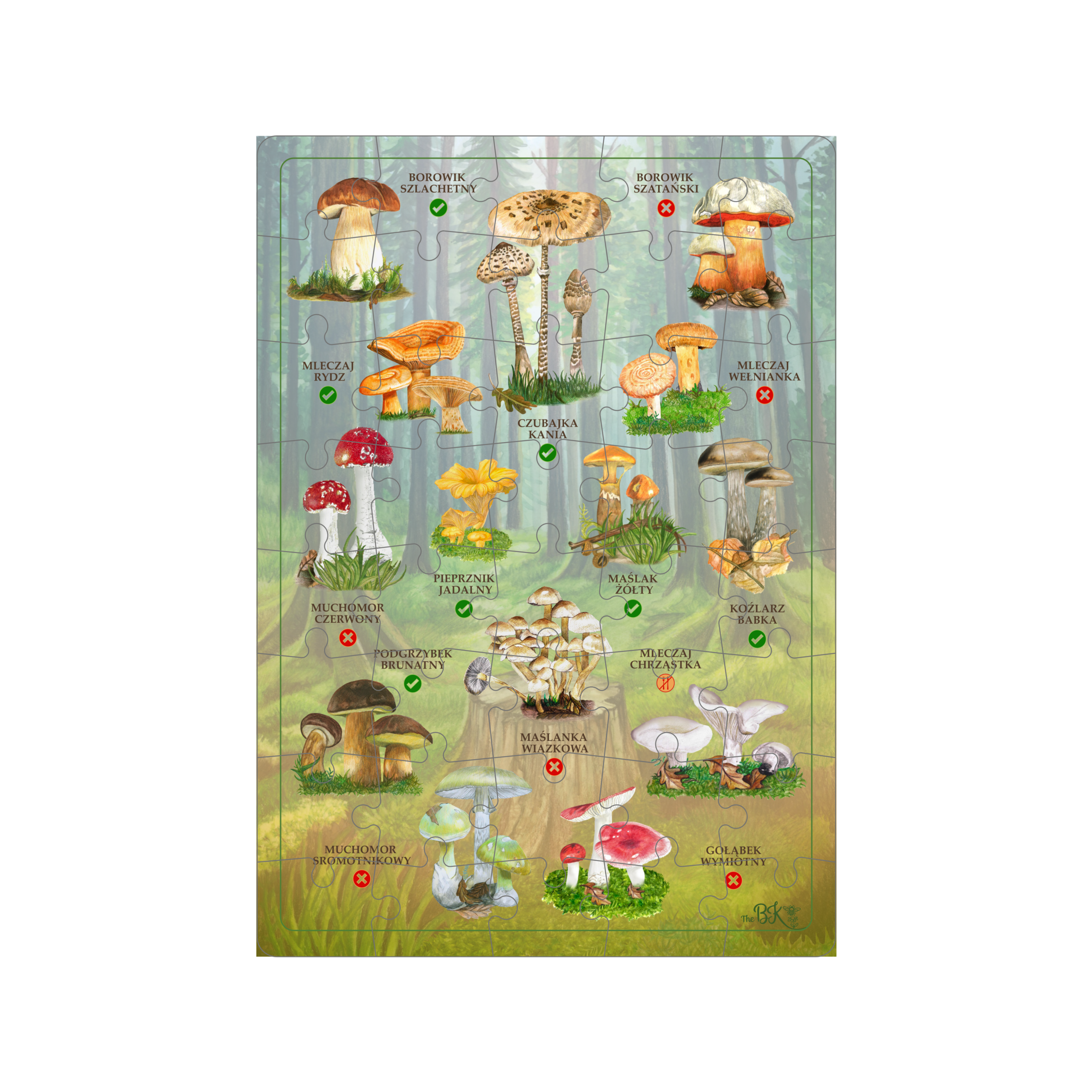 Puzzle edukacyjne Poznaję Przyrodę - GRZYBY