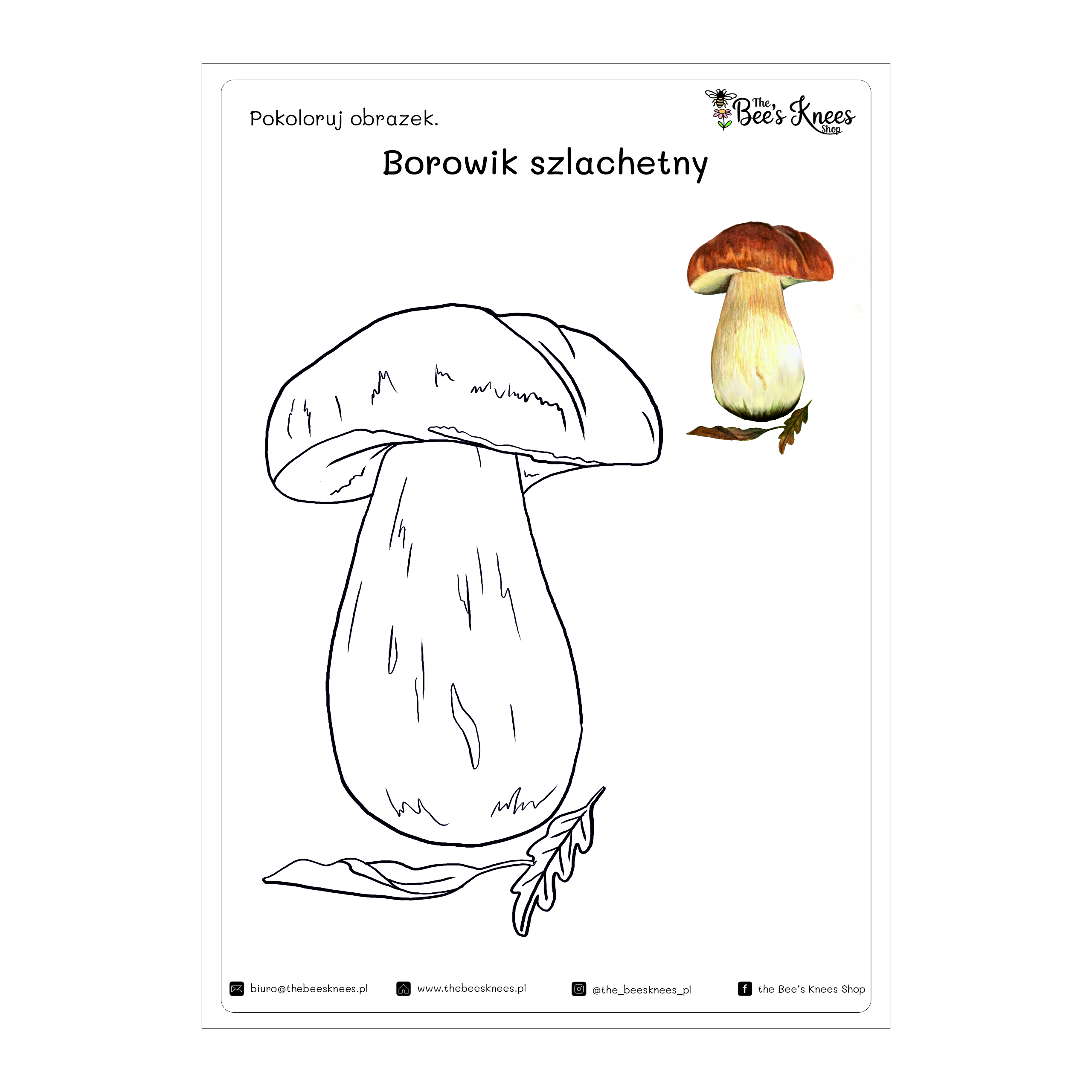 Kolorowanka borowik szlachetny