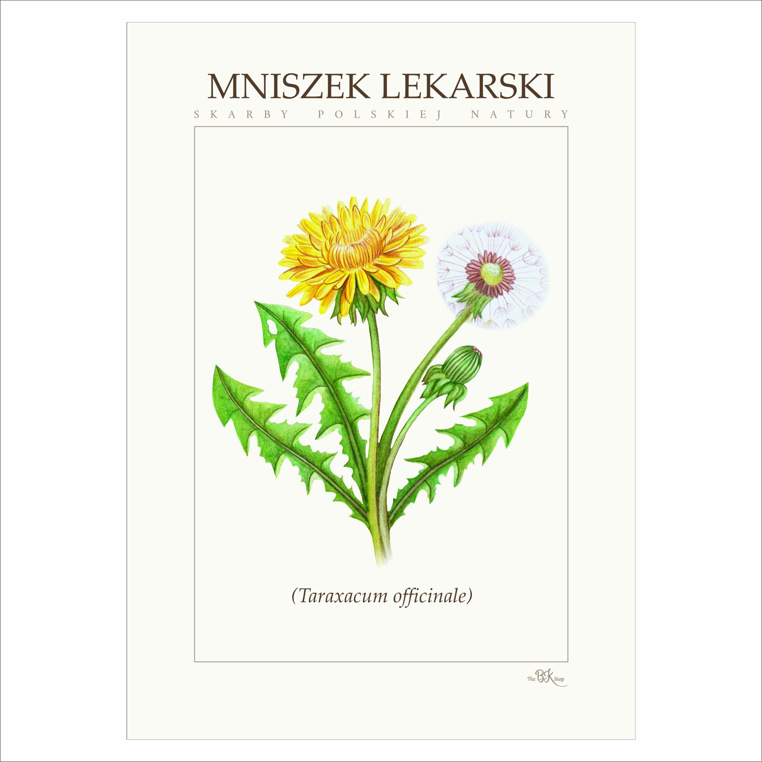 Plakat MNISZEK LEKARSKI